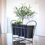 Apartman Luxury Gaspa With Jacuzzi Privlaka (Zadar)